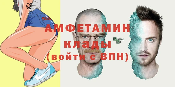 шишки Гусь-Хрустальный