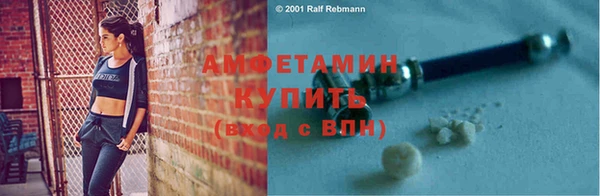шишки Гусь-Хрустальный