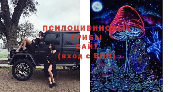 шишки Гусь-Хрустальный
