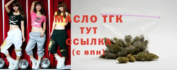 мдпв Гусев