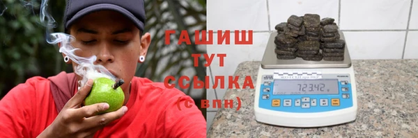 шишки Гусь-Хрустальный