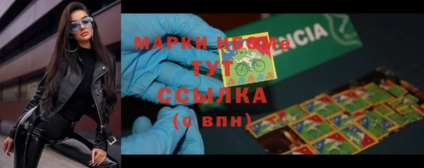 шишки Гусь-Хрустальный