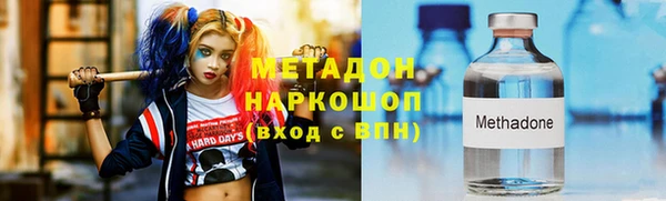 мдпв Гусев