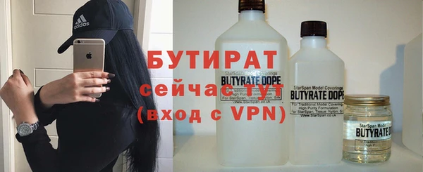 мдпв Гусев