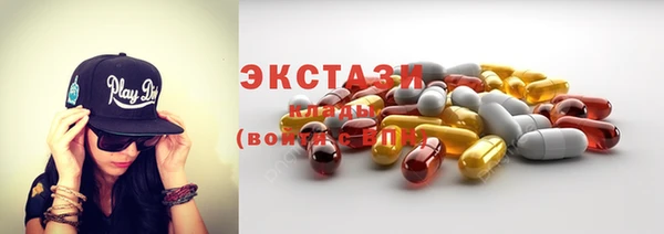мдпв Гусев