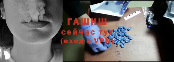 мдпв Гусев