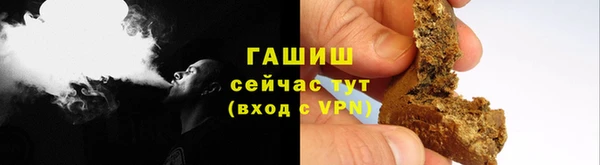 мдпв Гусев