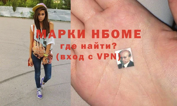 шишки Гусь-Хрустальный