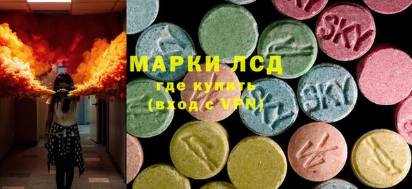 мдпв Гусев