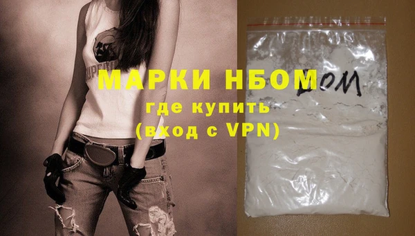 мдпв Гусев