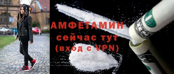 шишки Гусь-Хрустальный