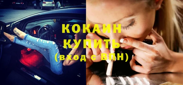 мдпв Гусев
