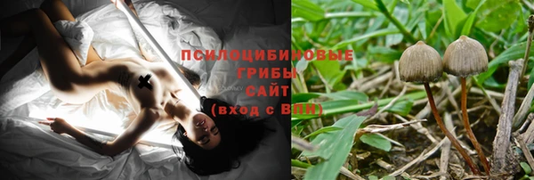 шишки Гусь-Хрустальный