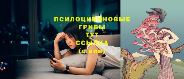 шишки Гусь-Хрустальный