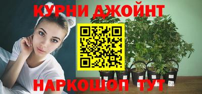 эйфоретик Гатчина