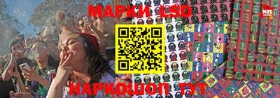 spice Гай